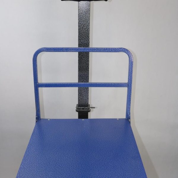 باسکول 400 کیلوگرم ترازالکترونیک مدل DS-T400F